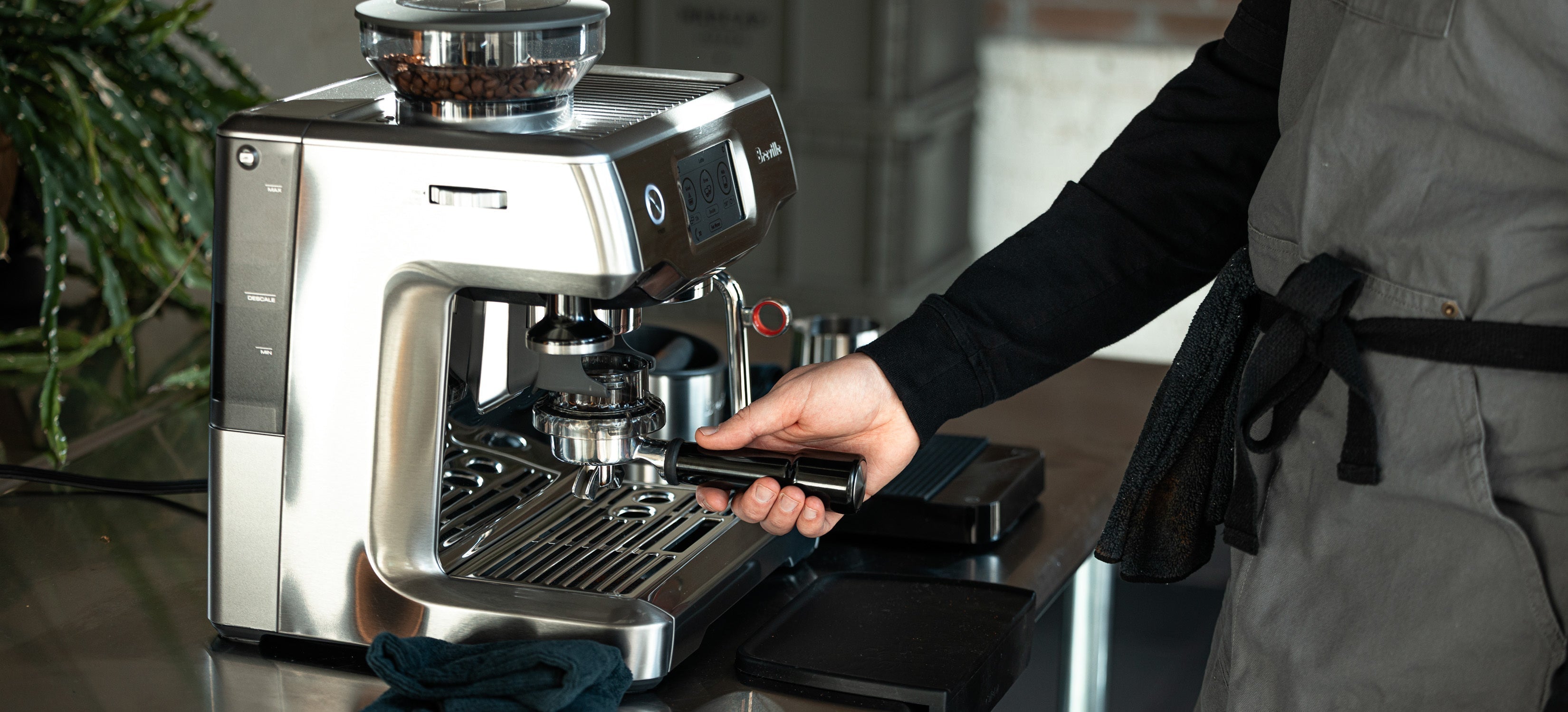 The Coffees We Return To