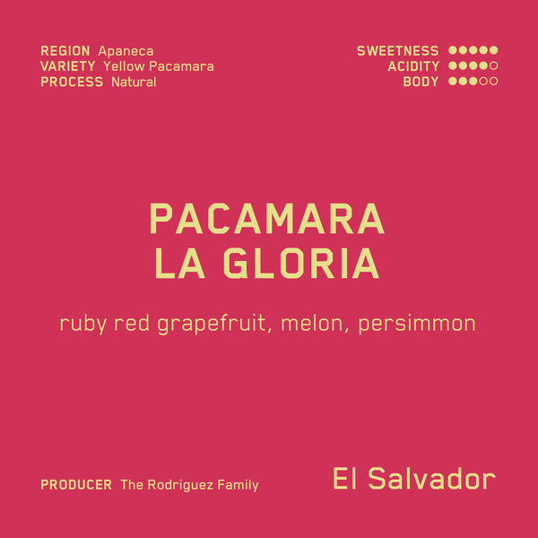 Natural Pacamara Nejapa